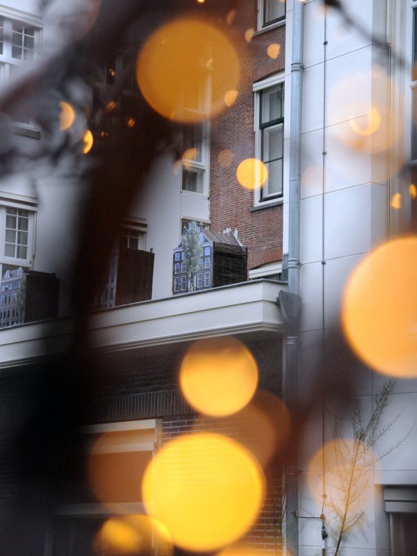 the waldorf astoria amsterdam beehives look like small dutch houses